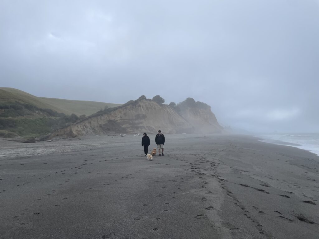 Walking on the beach in Centerville near Ferndale