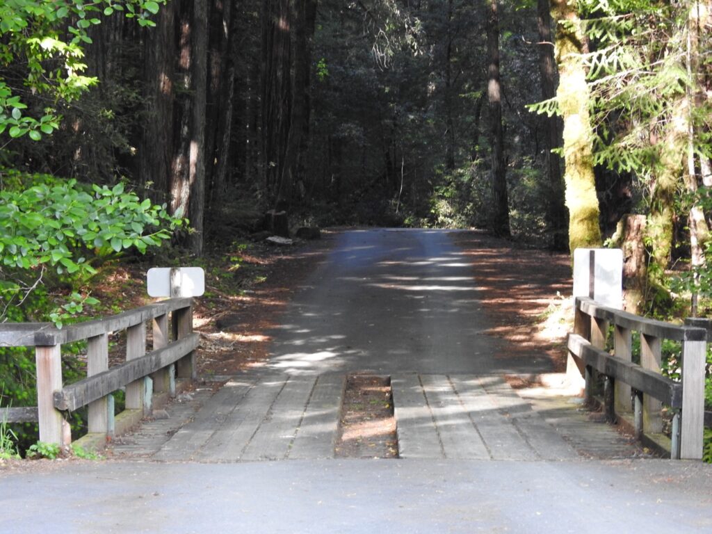 Entry to Albee Creek Entry to Albee Creek